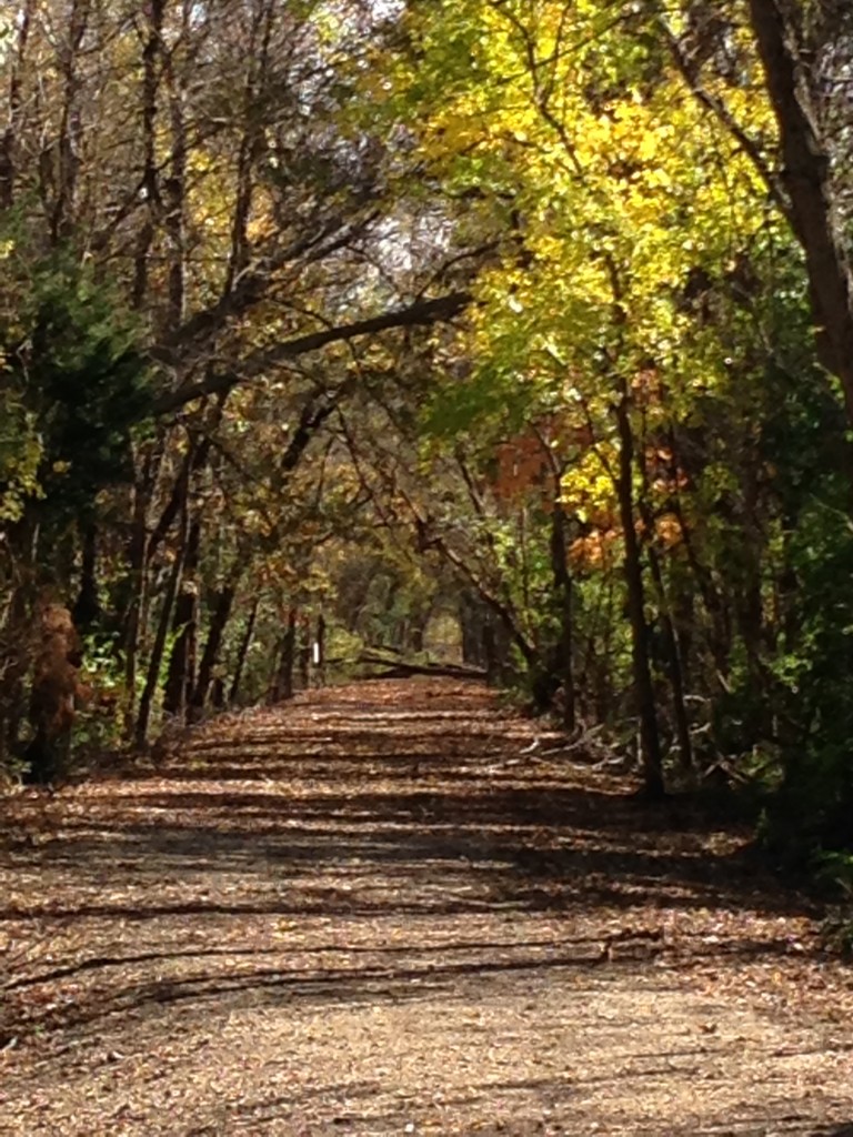 Illinois Central Railroad Riverwalk